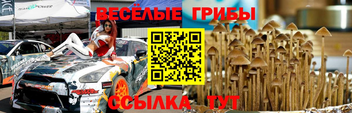 Орехово-Зуево  купить наркотики сайты  Вход с VPN  Псилоцибиновые грибы Psilocybine cubensis 